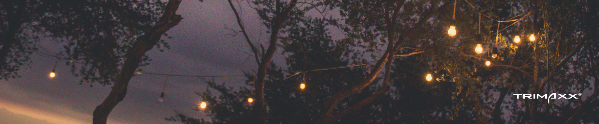 Banner_Trimaxx_Events