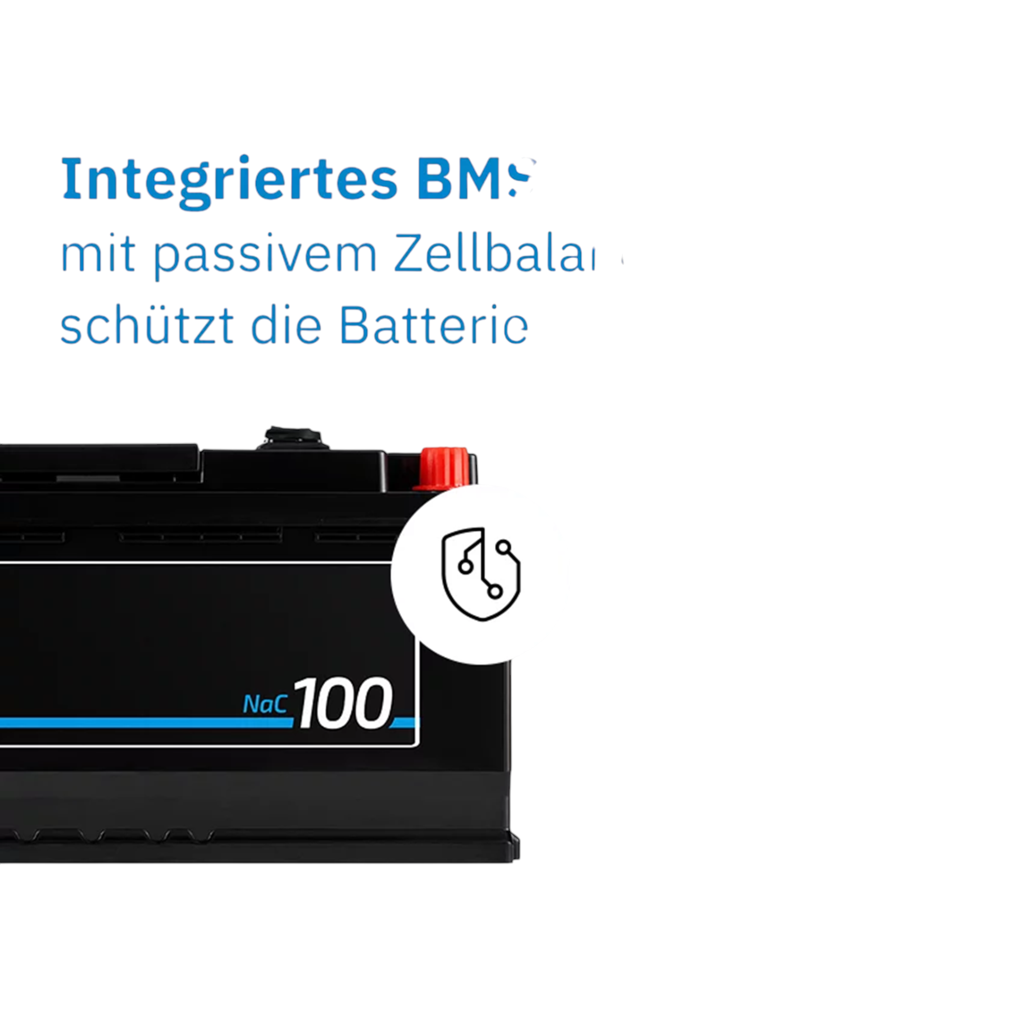 ECTIVE NaC 100 BT Natrium Versorgerbatterie 12V 100Ah