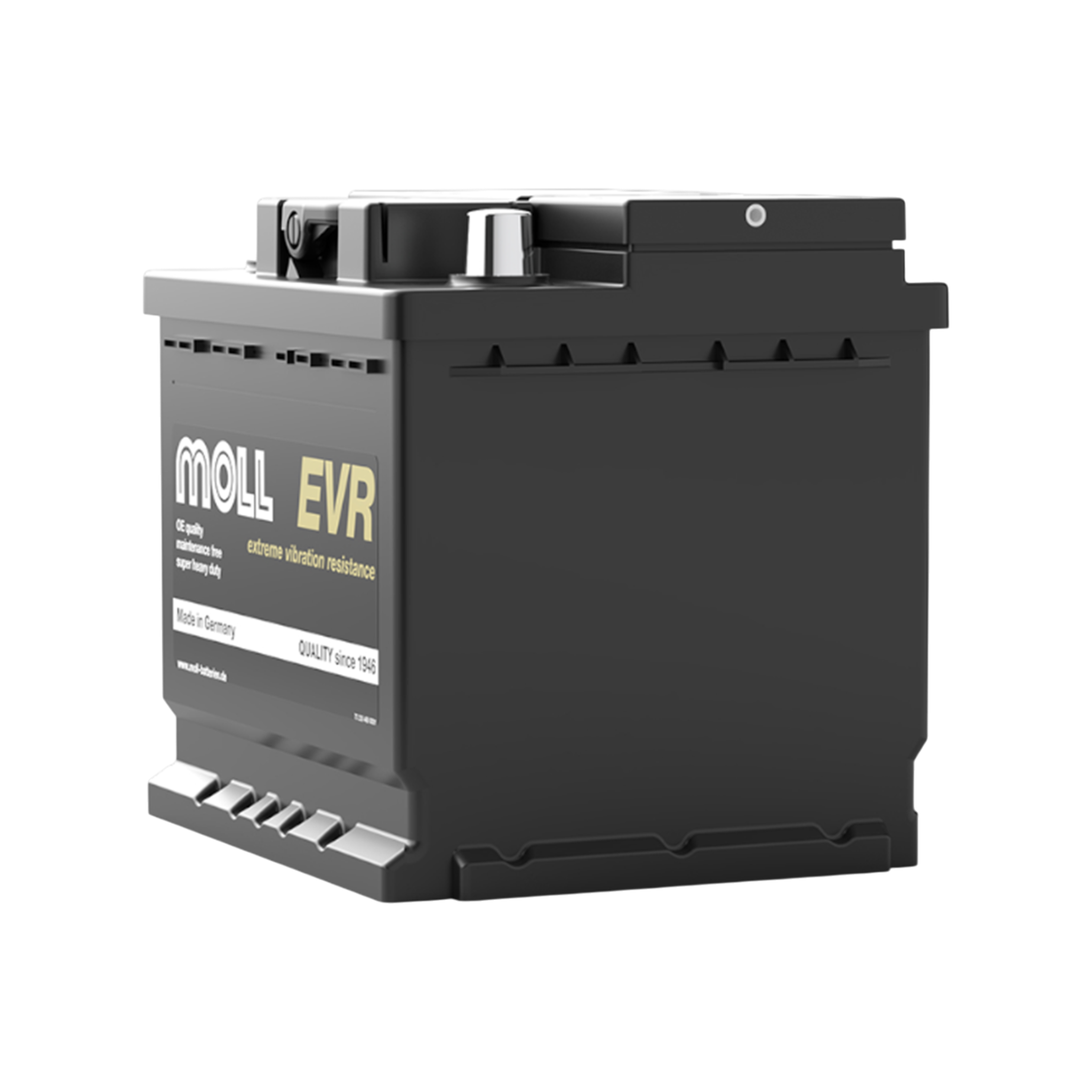 MOLL 88040  EVR - Rüttelfeste Starterbatterie "MADE IN GERMANY" 12V 40Ah(20h) 300A(EN)